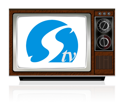 Silverbird Television